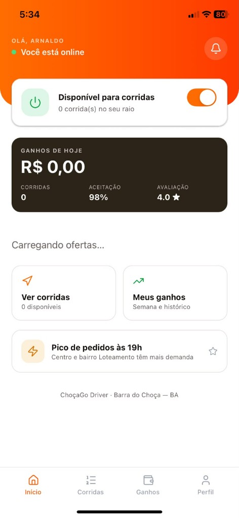 Início — disponibilidade online, ganhos do dia e pico de demanda